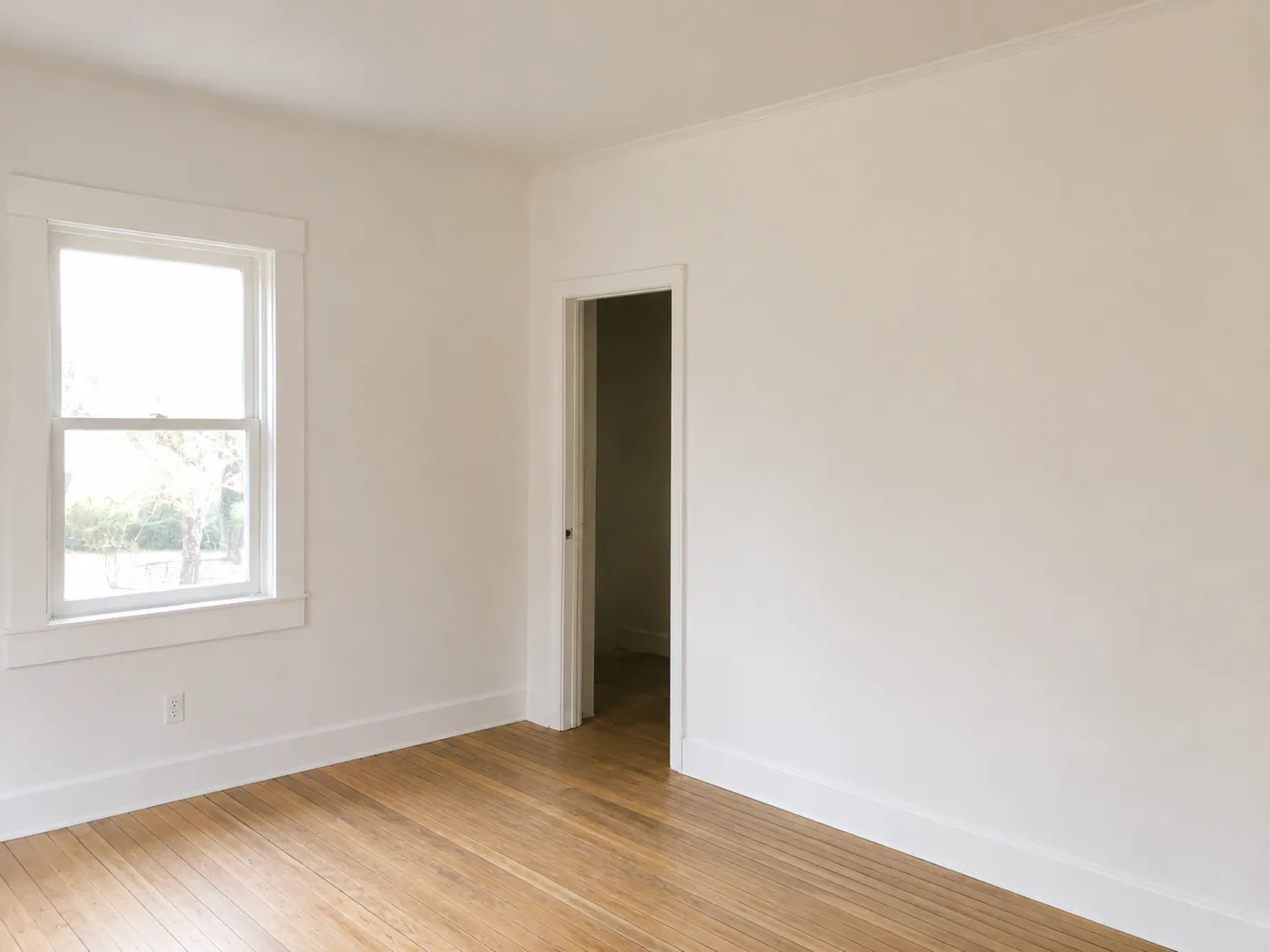 Freshly painted interior with smooth drywall